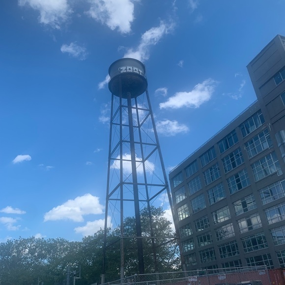 Meet your Posher, Silki - Picture 4 of 4